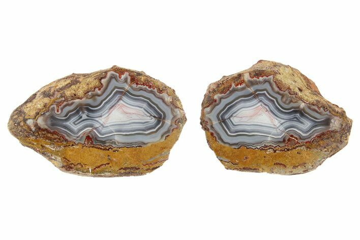 Polished Banded Agate Nodule Pair - Kerrouchen, Morocco #187125